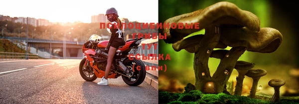 винт Медногорск