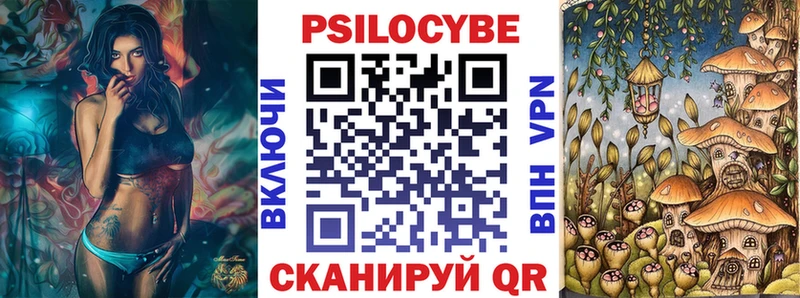 Галлюциногенные грибы Psilocybe  Купить где  Ахтубинск 
