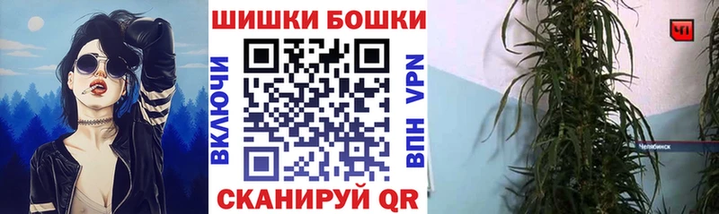 Купить  Ахтубинск  Марихуана сатива 